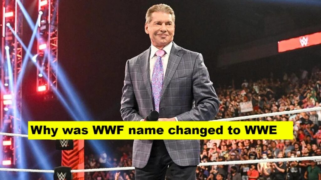 what is the full form of wwe