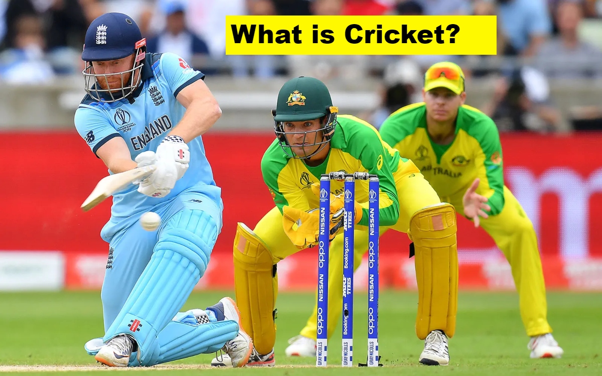 what is cricket